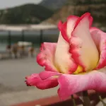 Porto Sabatiki فندق