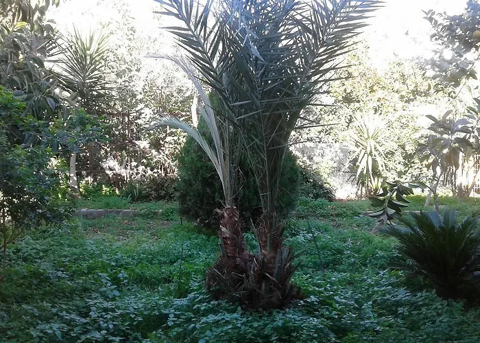 Porto Sabatiki Самбатики