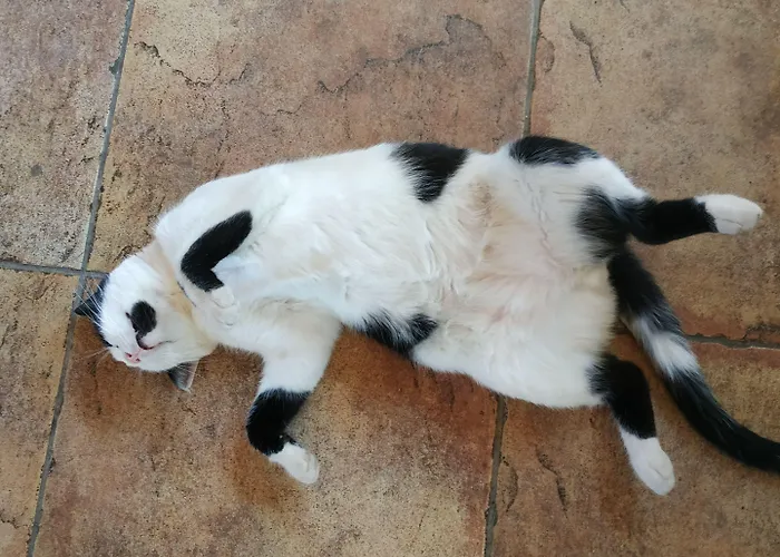 Отель Porto Sabatiki 2*