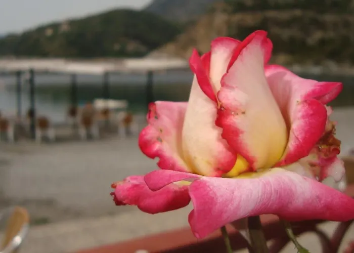 Porto Sabatiki Отель